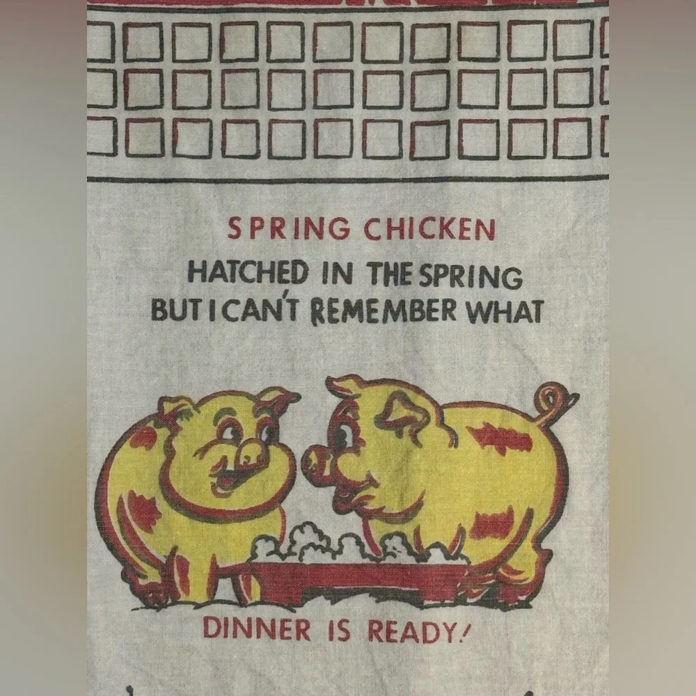 Vintage 1950s‎ BBQ Menu Apron Novelty Cartoon Pigs Kitsch Mid Century USA